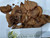 Asam Gelugur - Garcinia atroviridis Dried, 900 Grams