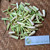 Sereh Kering - Chopped Lemongrass Dried, 90 Grams