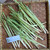 Sereh Kering - Chopped Lemongrass Dried, 90 Grams