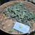 Urang Aring Eclipta Prostrata, 600 Grams