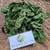 Ceguk (Combretum indicum) Rangoon creeper, 780 Grams