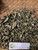 Sembung Kuwuk (Blumea lacera), 360 Grams
