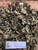 Balakacida (Chromolaena odorata), 30 Gram