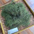 Adas (Foeniculum vulgare) Fennel, 30 Grams