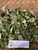 Gamal (Gliricidia sepium), 30 Grams