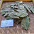 Alpukat (Persea americana) Avocado, 30 Gram