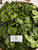 Melinjo (Gnetum gnemon) Spanish Joint Fir, 30 Grams