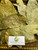 Kakao (Theobroma Cacao) Cocoa, 30 Grams