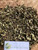 Patikan Kebo (euphorbia hirta) Dried, 30 Gram