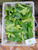 Sirsak (Annona Muricata) Soursop, 30 Grams