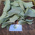 Manggis (Garcinia mangostana) Mangosteen, 30 Gram