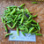 Cabai rawit (Capsicum annuum) Bird's eye chili Dried, 50 Grams
