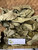 Bungur (Lagerstroemia speciosa), 90 Grams