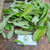 Sirih hutan (Piper aduncum) spiked pepper, 180 Grams