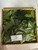 Mahoni (Swietenia mahagoni), 600 Gram