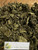 Daun Ciplukan (Physalis angulata) Dried Leaves, 180 Grams