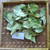 Jambu Mete (Anacardium occidentale) Cashew, 780 Grams