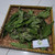 Afrika (Vernonia amygdalina) Bitter, 360 Gram