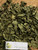 Amaranthus viridis (Bayam hijau), 180 Grams