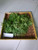Kenikir (Cosmos caudatus), 180 Grams
