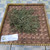 Kenikir (Cosmos caudatus), 780 Grams