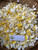 Bunga Kamboja (Plumeria) Frangipani Dried, 780 Grams