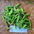 Cabai rawit (Capsicum annuum) Bird's eye chili Dried, 450 Grams