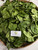 Melinjo (Gnetum gnemon) Spanish Joint Fir, 90 Grams