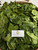 Melinjo (Gnetum gnemon) Spanish Joint Fir, 360 Grams