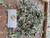 Baru Cina (Artemisia vulgaris) Mugwort, 90 Grams
