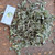 Baru Cina (Artemisia vulgaris) Mugwort, 180 Grams