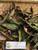 Andong (Cordyline fruticose), 360 Grams