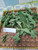 Pepaya (Carica Papaya), 360 Grams
