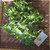 Vegetable fern (Diplazium esculentum), 360 Grams