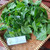 Bunga Sepatu (hibiscus rosa-sinensis), 360 Grams