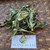 Walangan (Eryngium foetidum) Culantro, 600 Grams
