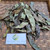 Kamboja - Frangipani Leaves, 90 Grams