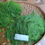 Adas (Foeniculum vulgare) Fennel, 180 Grams