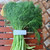 Adas (Foeniculum vulgare) Fennel, 360 Grams