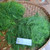 Adas (Foeniculum vulgare) Fennel, 360 Grams