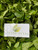 Ajeran (Bidens pilosa), 90 Grams