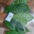Kakao (Theobroma Cacao) Cocoa, 600 Grams