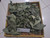 Keji Beling (Strobilanthes crispa), 780 Grams