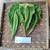 Ketapang (Terminalia Catappa) Indian-almond, 90 Grams