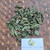 Pecut Kuda (MaStachytarpheta jamaicensis) Blue Porterweed, 600 Grams