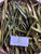 Suji Hijau ( Dracaena angustifolia ) Narrow-Leaf Dragon Tree, 180 Grams