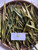 Suji Hijau ( Dracaena angustifolia ) Narrow-Leaf Dragon Tree, 780 Grams