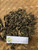 Sambung Nyawa ( Gynura Procumbens ) Longevity Spinach, 360 Grams