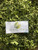 Pare (Momordica charantia) Bitter melon, 360 Grams
