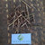 Kulit Batang Kersen (Muntingia calabura) Kersen Bark Dried, 600 Grams